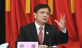 郑强最新爆料视频大全,揭秘背后真相与惊人内幕